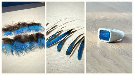 Peacock contour feathers used in Cici Dream jewelry — the natural material behind our Feather Canvas™ technique.